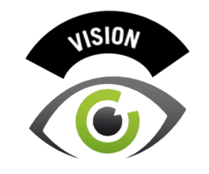 Vision